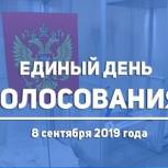 Почти 15% избирателей проголосовали в Вологодской области к полудню