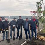 В Кемеровской области партийцы приняли участие в посадке леса