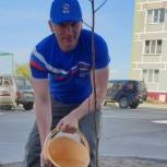 Углегорские партийцы приняли участие в акции «Наше  дерево»