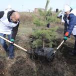 Сергей Сокол поблагодарил организаторов проекта по высадке деревьев в Иркутской области