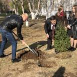 «Классный лес» высажен у школы №39 Петропавловска-Камчатского