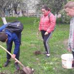 В Глушковском районе в ходе акции "Классный лес" высадили 1000 деревьев