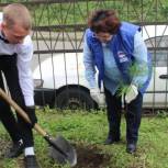 Во Владивостоке партийцы провели акцию «Классный лес»