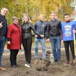 Шатурские единороссы инициировали и провели экологическую акцию по посадке деревьев