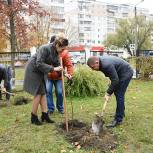 В Брянске в рамках акции «Классный лес» высадили 45 деревьев