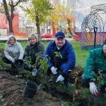 В рамках партийного проекта «Экология Москвы» люблинцы посадили более 1500 кустарников