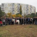 В парке «Дружба» появилось 262 новых дерева