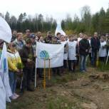 «Единая Россия» в Износках приняла участие в акции «Сохраним лес»