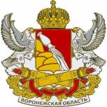 Воронежская область – в лидерах по реализации нацпроектов в 2019 году