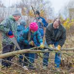 В рамках партпроекта в Ярославской области посадили более 100 деревьев