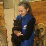 Молодогвардейцы Балашихи взяли шефство над кошачьим приютом