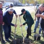 В Кайтагском районе прошла экологическая акция по посадке деревьев «Зеленые километры» в рамках партийного проекта «Чистая страна»
