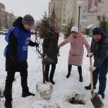 Мегионские партийцы высадили яблони на Аллеe Славы