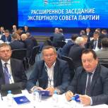 Анатолий Козачко принимает участие в  расширенном заседании Экспертного совета Партии 