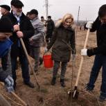 В рамках проекта "Чистая страна" в Светлограде появится парк для отдыха горожан 