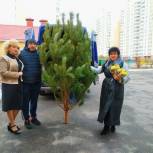 Единоросс Людмила Шашенкова подарила детям новогодние ёлки и подарки