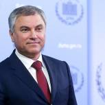 Володин назвал самые важные принятые в 2019 году законы