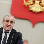 Неверов предложил сделать публичными сведения о депутатских запросах