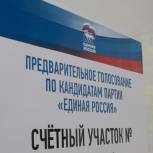 Предварительное голосование «Единой России» предложено провести на девяти счетных участках