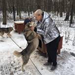 Елена Хаустова: С собаками в хаски-парке всё в порядке!