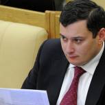 Хинштейн анонсировал встречу комитета Госдумы по информполитике с новым главой Минкомсвязи
