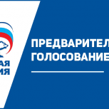 Около 1800 человек сделали свой выбор в предварительном голосовании «Единой России»