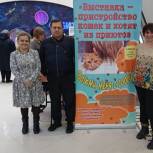 В Люберцах «Единая Россия» оказала помощь в организации благотворительной выставки кошек из приютов