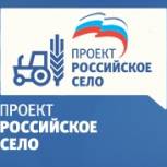 Члены «Единой России» приняли участие в отчёте администрации посёлка Детчино Малоярославецкого района
