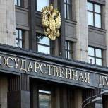 «Единая Россия» внесла в Госдуму поправки, касающиеся использования маткапитала