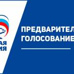 В Кетовском районе состоятся дополнительные выборы депутатов сельсккх Дум