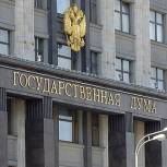 «Единая Россия» внесла в Госдуму поправки, касающиеся использования маткапитала