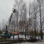 Гетманского поблагодарили за помощь в спиливании и формовке деревьев на территории детского сада