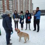 Единороссы ТиНАО провели акцию «Убери за своей собакой» 
