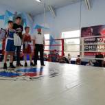 В ТиНАО единороссы провели турнир по боксу в память о воинах-афганцах