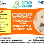 «Молодая Гвардия Единой России» объявила сбор помощи для приюта животных