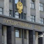 «Единая Россия» единогласно поддержала поправки об использовании маткапитала. Закон принят