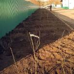 В Ипатовском районе высадили 280 кустов роз