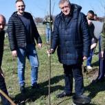 В Тихорецком районе  заложили аллею Памяти и Славы