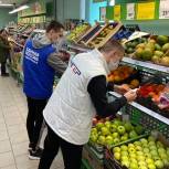 Молодогвардейцы Подмосковья в почти 200 магазинах провели мониторинг цен на продукты первой необходимости