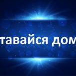 С 31 марта во Владимирской области вводится режим всеобщей самоизоляции