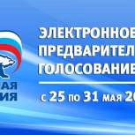 «Единая Россия» меняет формат дебатов для участников предварительного голосования