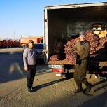 Почти 3 тонны картофеля раздали во Владикавказе малоимущим и многодетным семьям 