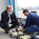 В Омской области продолжается благотворительная акция по выдаче цыплят