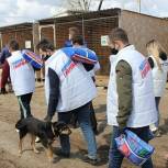 Волгоградские волонтеры передали корм приюту для животных
