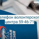 Центр волонтерской поддержки: число обращений выросло в сто раз  