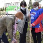 Мокроусовские партийцы высадили саженцы сирени и ели