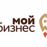 В Пензе пройдет очередной онлайн-брифинг по мерам антикризисной поддержки малого бизнеса