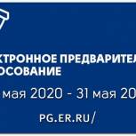 Регистрация участников предварительного голосования «Единой России» продлена до 15 мая
