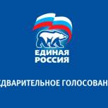 Регистрация участников предварительного голосования «Единой России» продлена до 15 мая