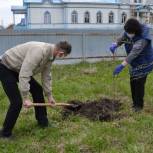 Алатырский район присоединился к Всероссийской акции «Сад памяти»